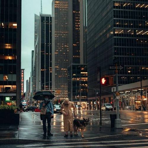 امید مهدی زاده ز دلتنگی یارم هوای گریه دارم